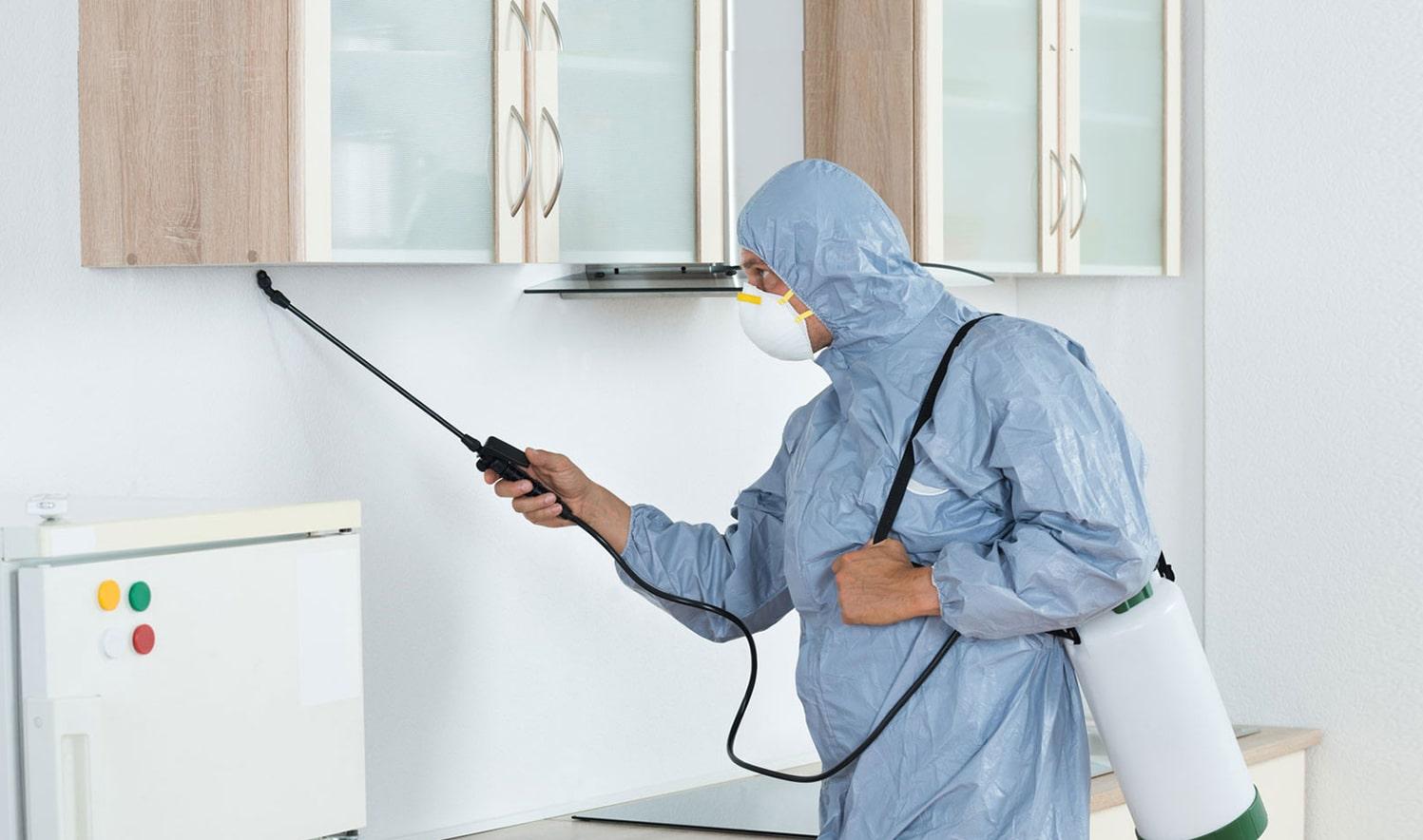 Eliminate Infestations