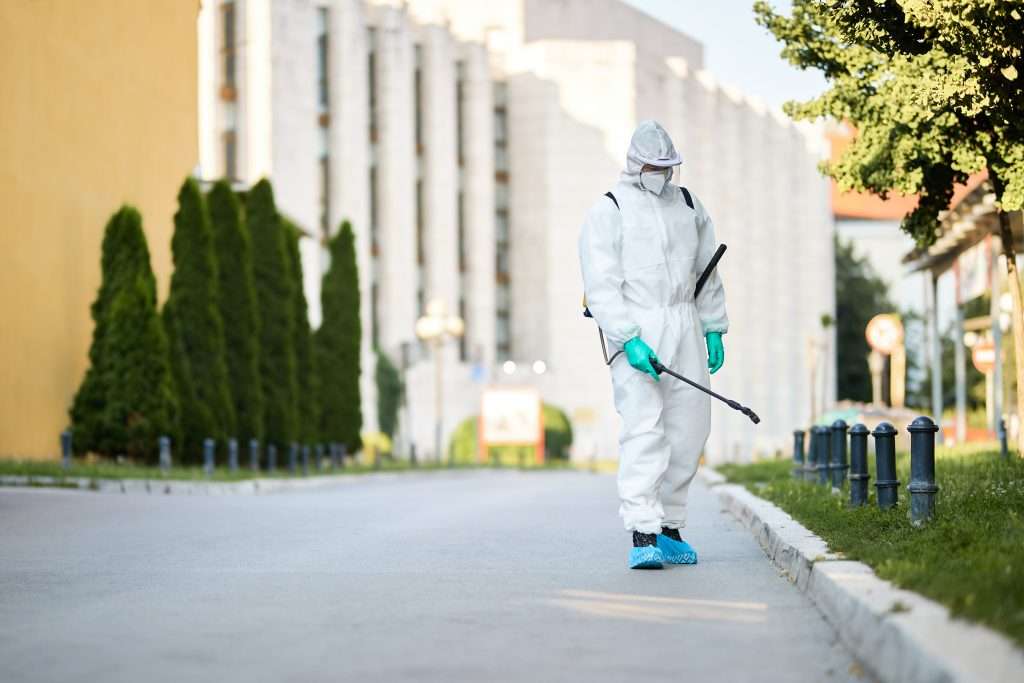Pest Control Services in Abu Dhabi